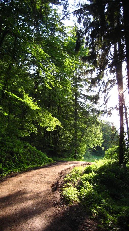 Gaestezimmer Waldblick Wimbach Екстериор снимка