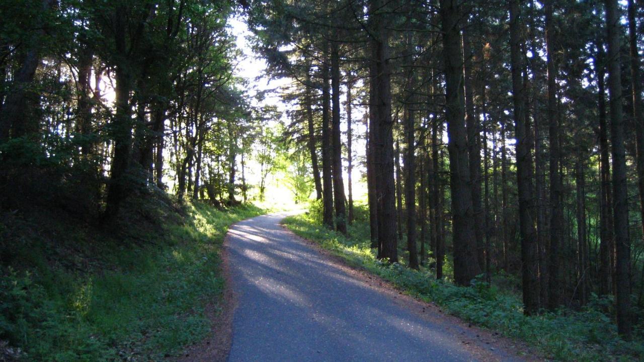 Gaestezimmer Waldblick Wimbach Екстериор снимка